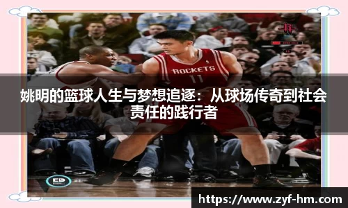 江南·综合体育