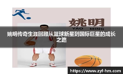 JN体育官网