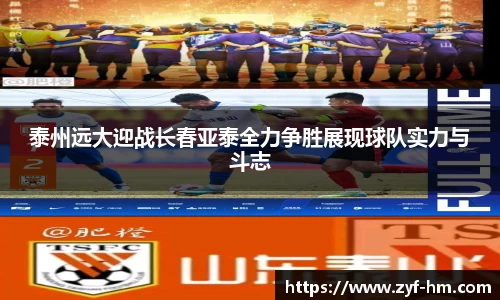 江南·综合体育